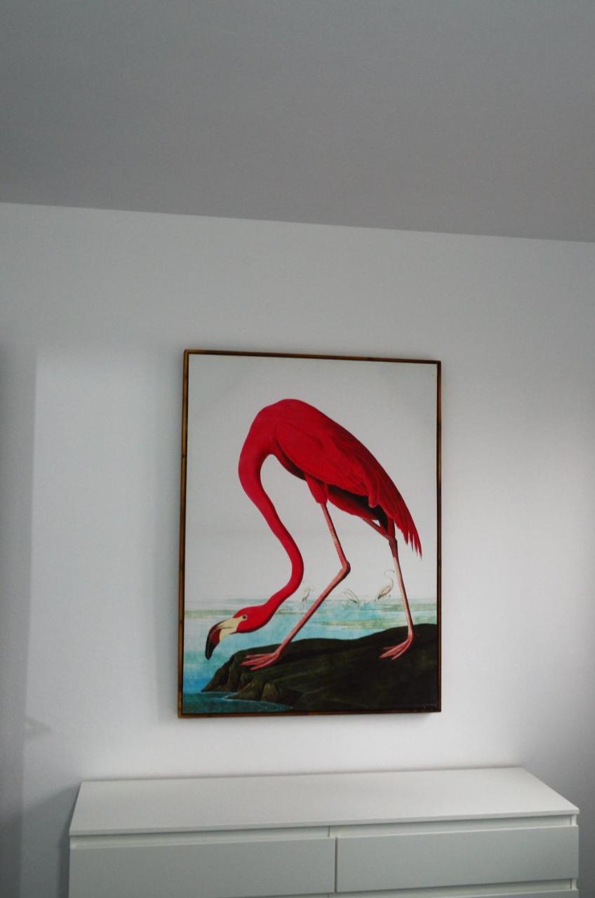 Apartamento Sauco Los Llanos De Aridane Buitenkant foto